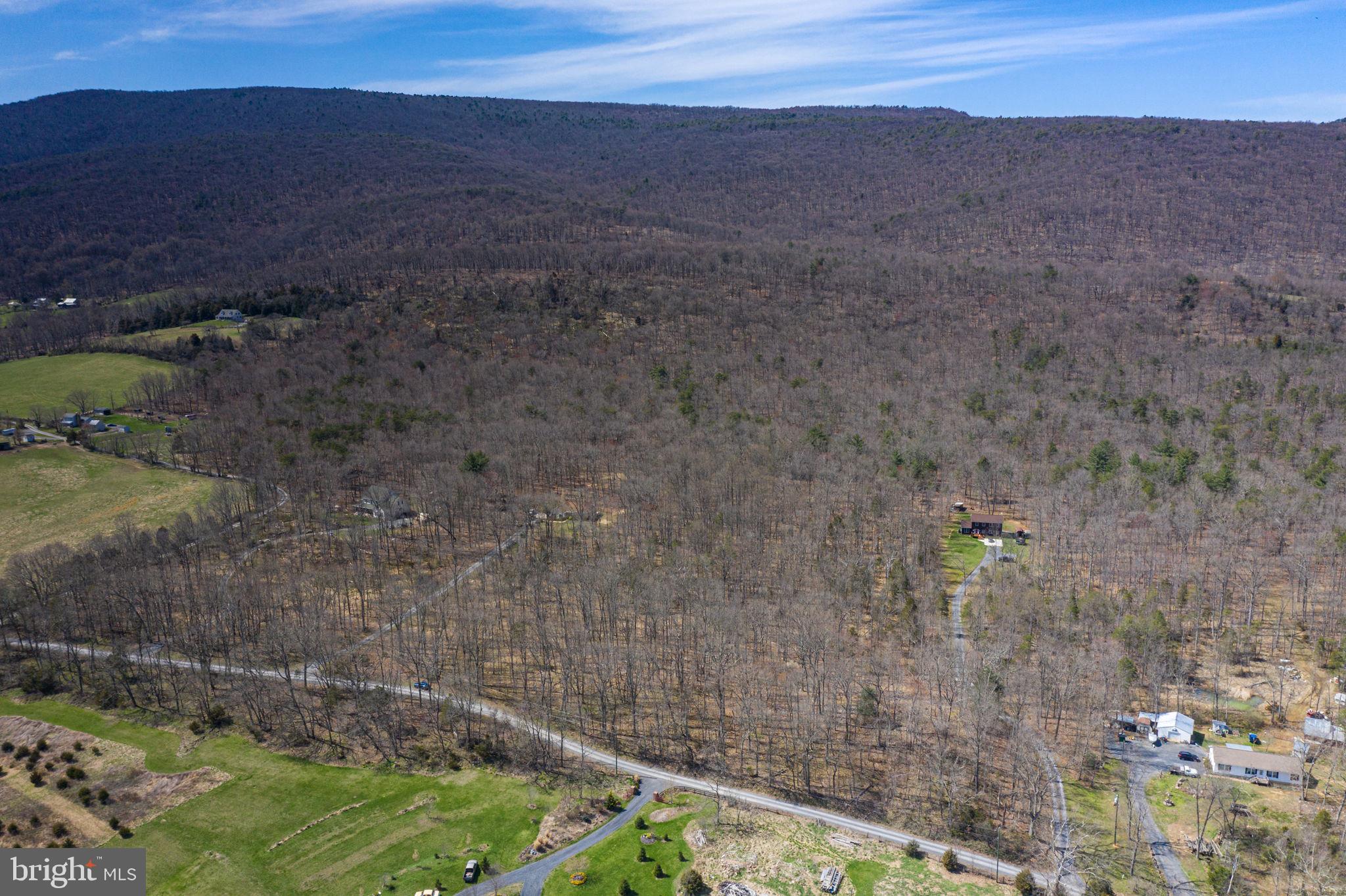 0 South Pifer Road Star Tannery, VA 22654 - Photo 3 of 10 Gallery Image 3