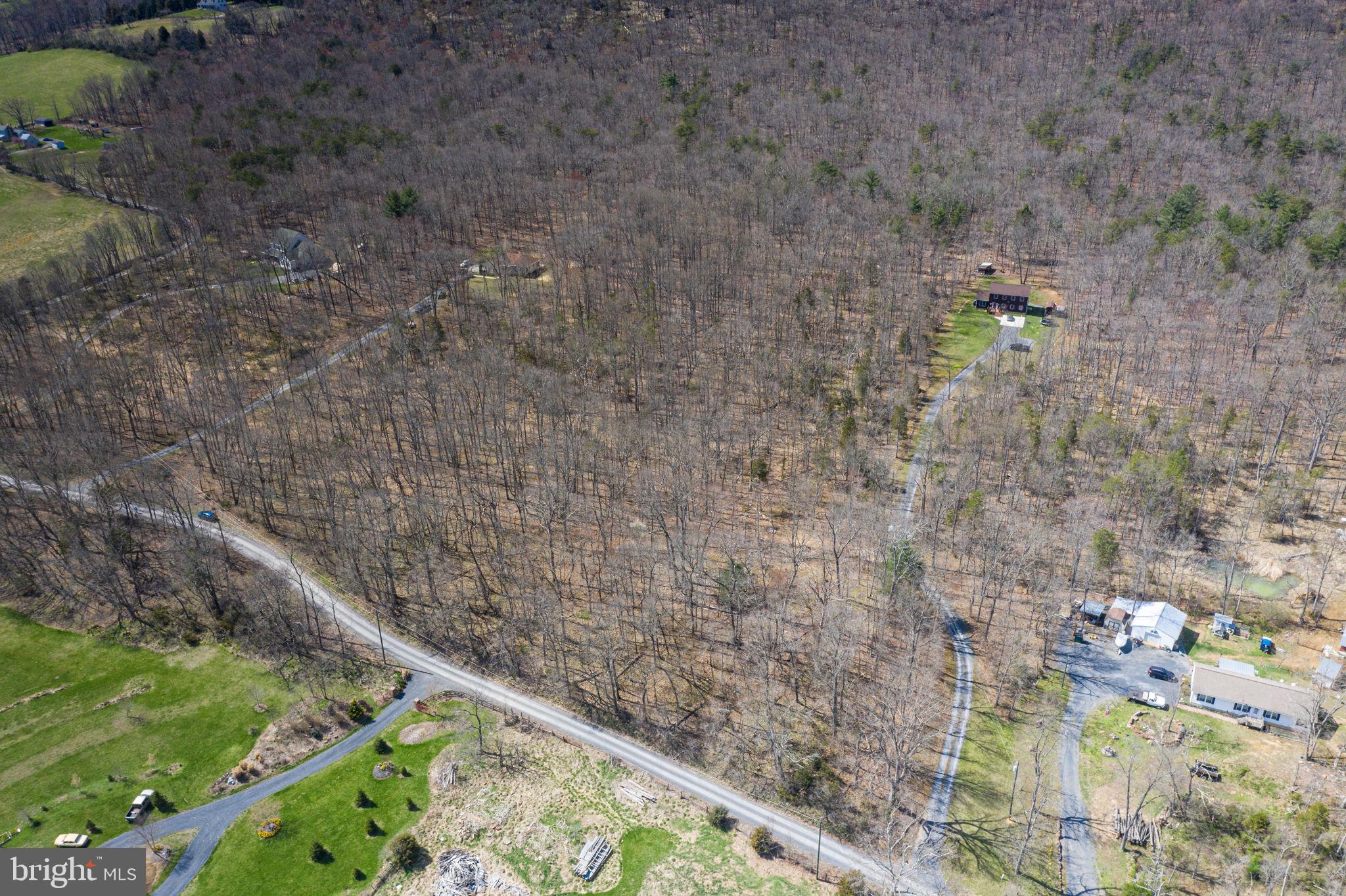0 South Pifer Road Star Tannery, VA 22654 - Photo 4 of 10 Gallery Image 4