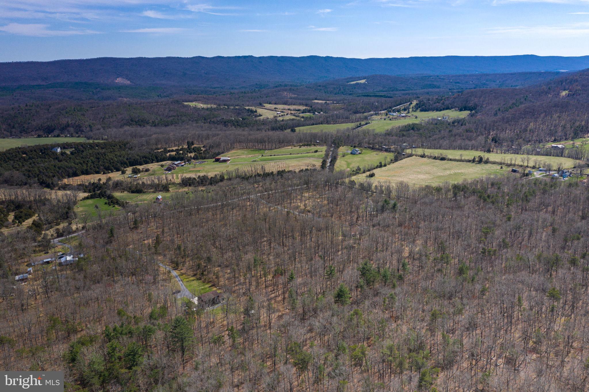 0 South Pifer Road Star Tannery, VA 22654 - Photo 8 of 10 Gallery Image 8