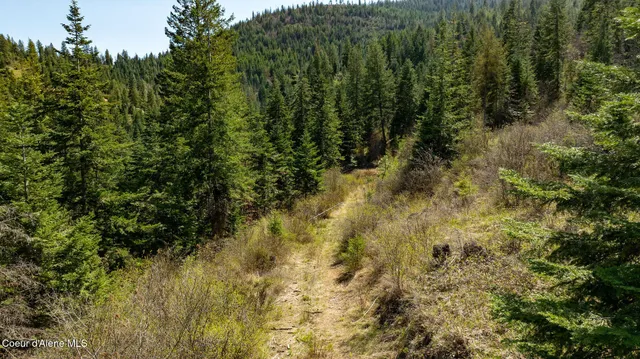 $650,000 | 11817 West Garrett Court, Post Falls, ID 83854