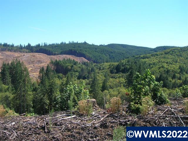 Chapman Grange (lot Road, Unit 25 & 26) Scappoose, OR 97056 - Photo 5 of 7