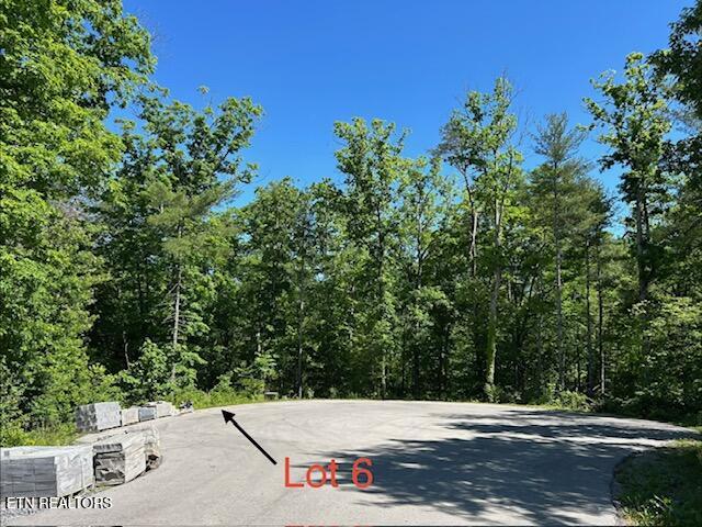 325 Beckett Ridge Road Townsend, TN 37882 - Photo 5 of 11 Cul-de-sac