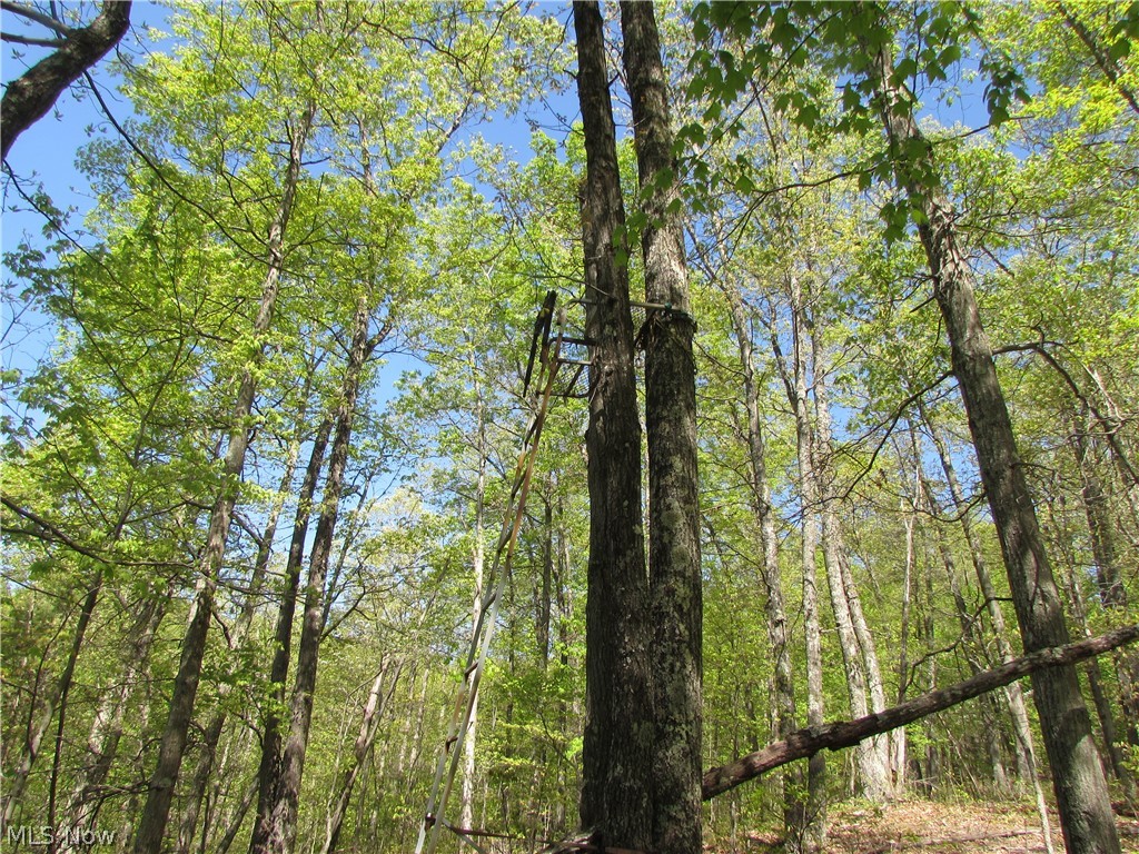 Mayberry Road Palestine, WV 26160 - Photo 20 of 20