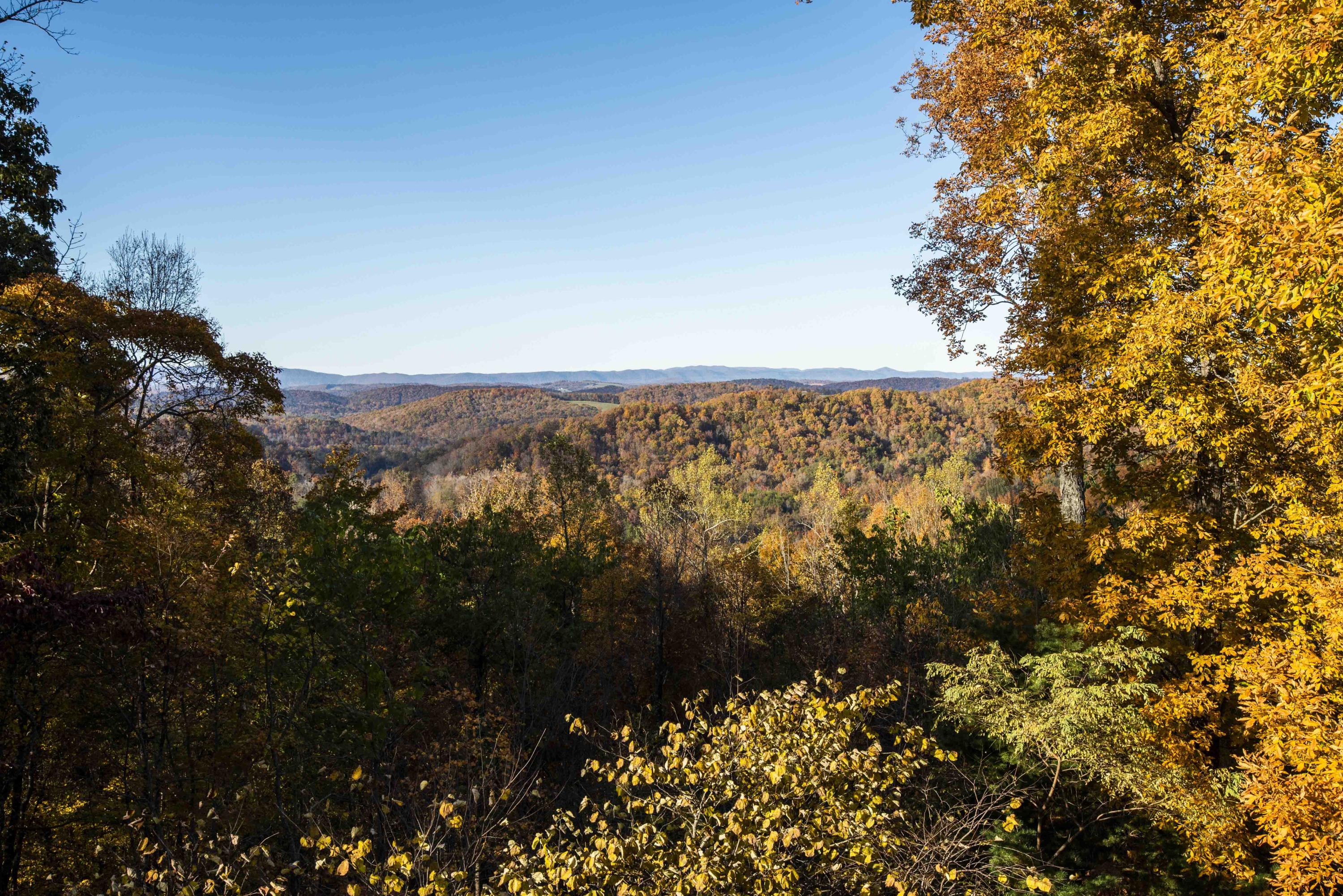 690 Fox Hunter Road Maynardville, TN 37807 - Photo 2 of 38 View 1_1