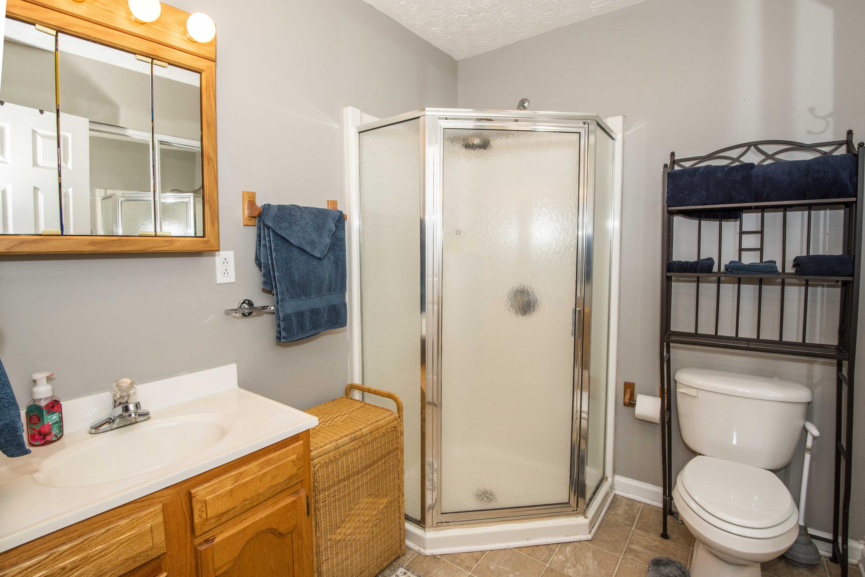 690 Fox Hunter Road Maynardville, TN 37807 - Photo 26 of 38 Upstairs bath_1