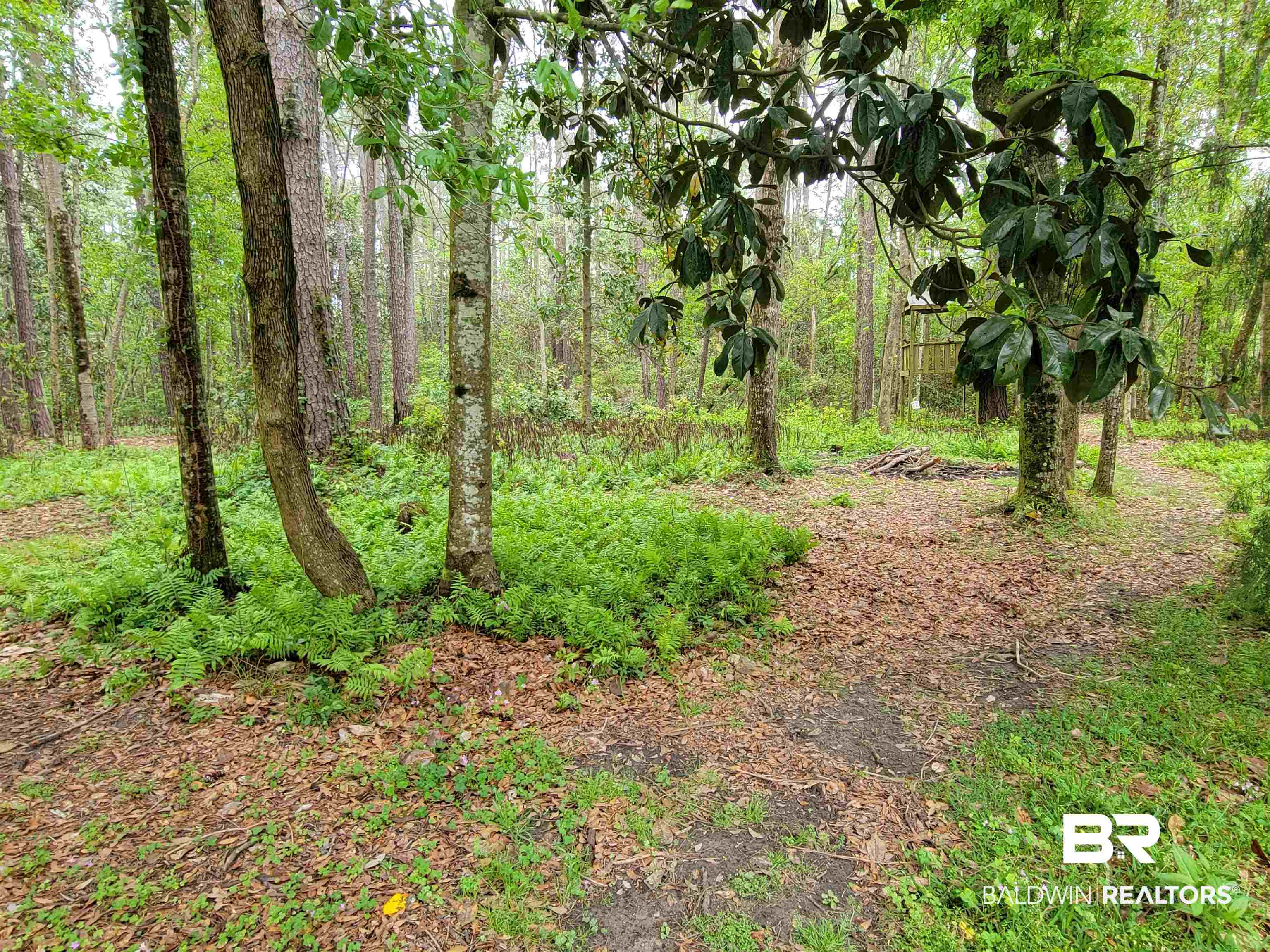 10 County Road Foley, AL 36535 - Photo 6 of 17 Gallery Image 6