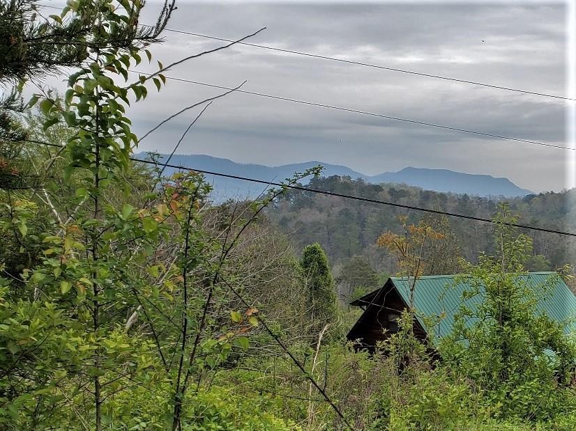 6061 Red Cedar Lane Sevierville, TN 37876 - Photo 9 of 9