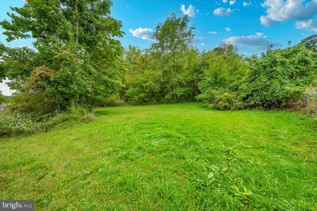 a view of a house with a big yard and large tree