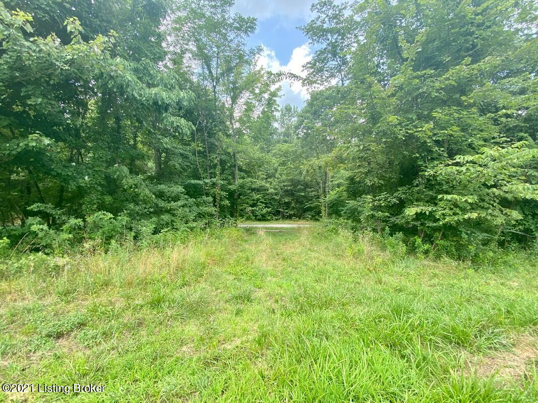 1270 Duvall Road Caneyville, KY 42721 - Photo 48 of 61 1270 Duvall Rd38