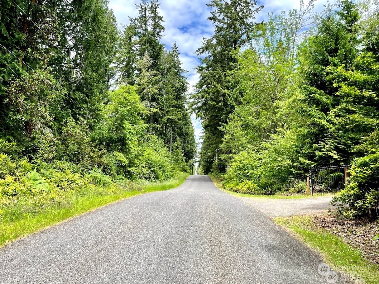 9806 Otso Point Road Anderson Island, WA 98303 - Photo 10 of 17 Gallery Image 10