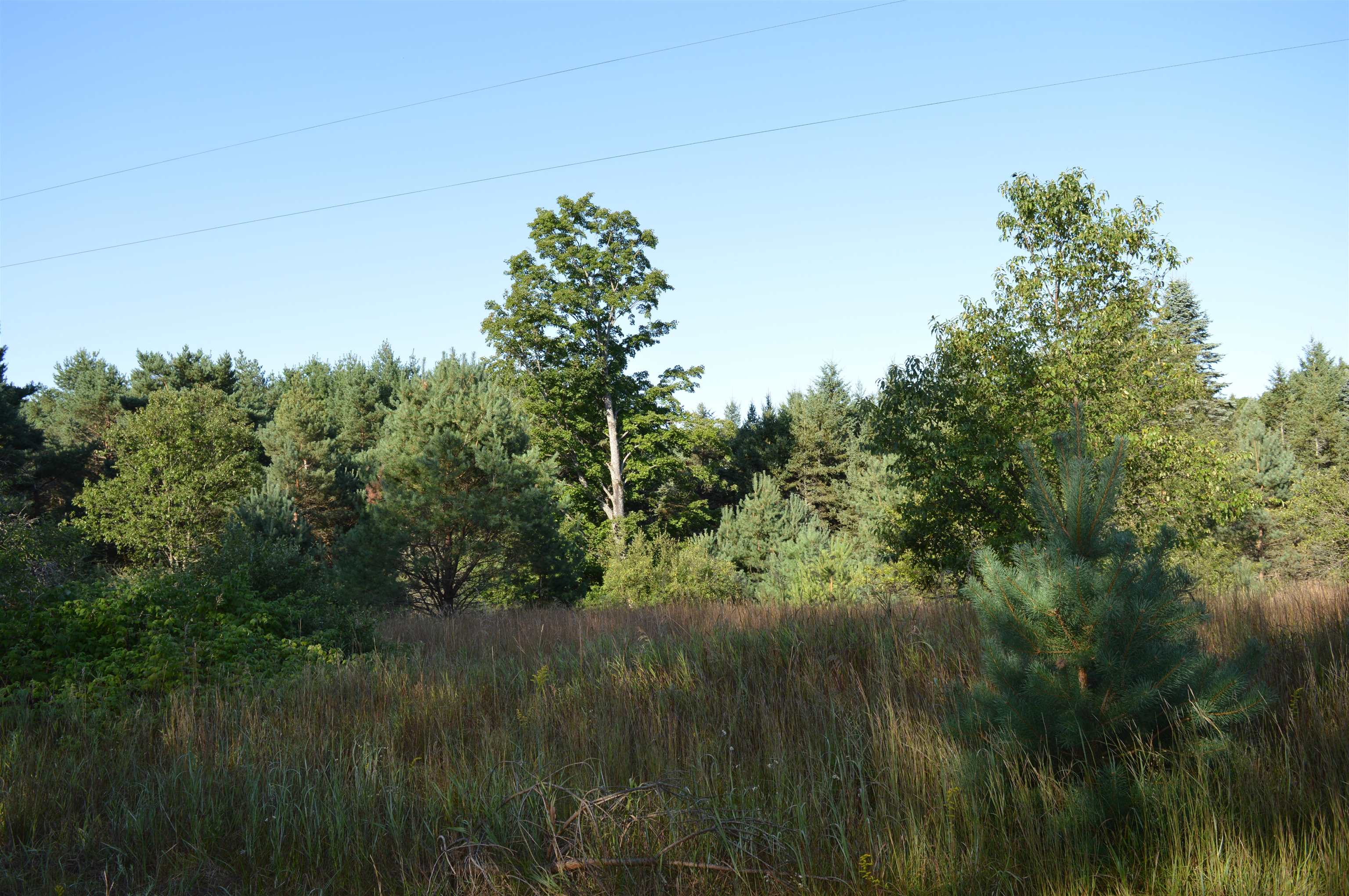 Gildas Rd Rapid Alden, MI 49612 - Photo 3 of 15