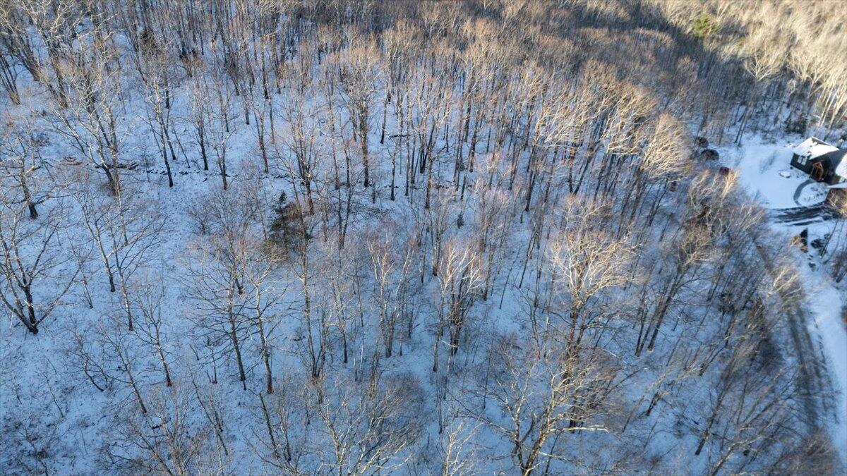 47 Dodge Mountain Road Rockland, ME 04841 - Photo 14 of 17 47 Dodge Mountain Road, Rockland