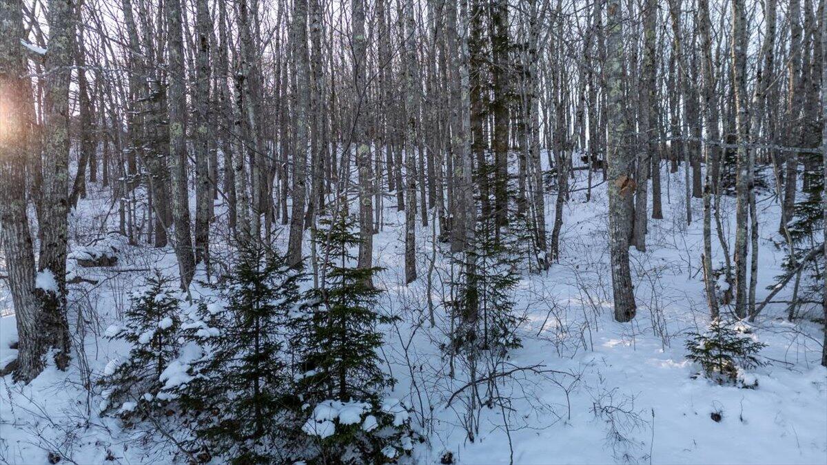 47 Dodge Mountain Road Rockland, ME 04841 - Photo 16 of 17 47 Dodge Mountain Road, Rockland