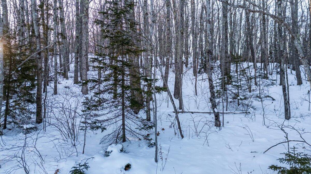 47 Dodge Mountain Road Rockland, ME 04841 - Photo 17 of 17 39-Dodge Mtn-39