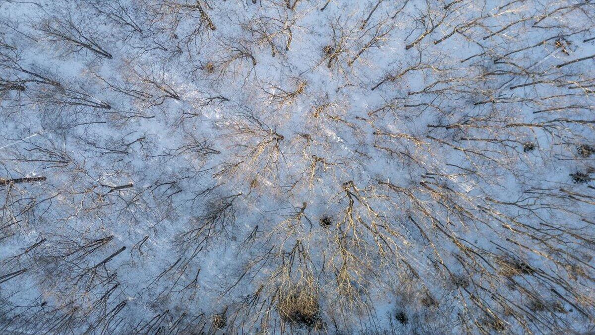 47 Dodge Mountain Road Rockland, ME 04841 - Photo 8 of 17 47 Dodge Mountain Road, Rockland