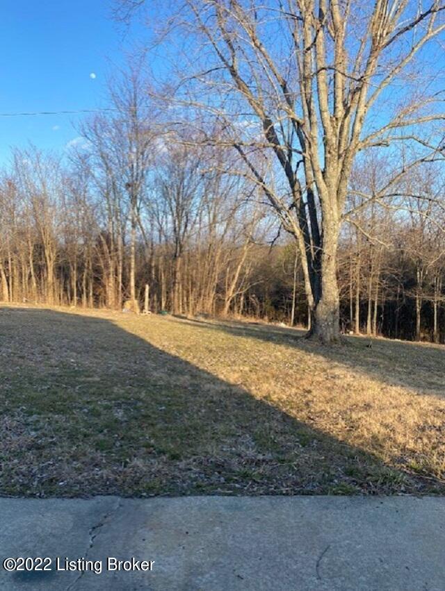 10878 Anneta Road Leitchfield, KY 42754 - Photo 15 of 16 thumbnail_IMG_6750