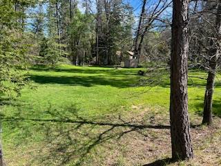 13769 Yuba-Nevada Road Dobbins, CA 95935 - Photo 4 of 18 a backyard of a house with lots of green space