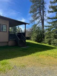 a big yard with lots of green space and palm trees