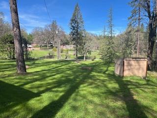 13769 Yuba-Nevada Road Dobbins, CA 95935 - Photo 7 of 18 a big yard with lots of green space and palm trees