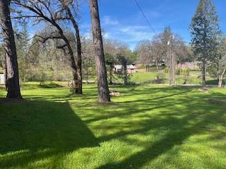 13769 Yuba-Nevada Road Dobbins, CA 95935 - Photo 8 of 18 a view of a park with large trees
