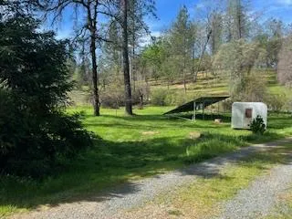 a view of a garden with a slide