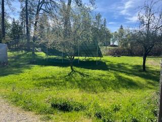 13769 Yuba-Nevada Road Dobbins, CA 95935 - Photo 10 of 18 a view of a garden with a slide