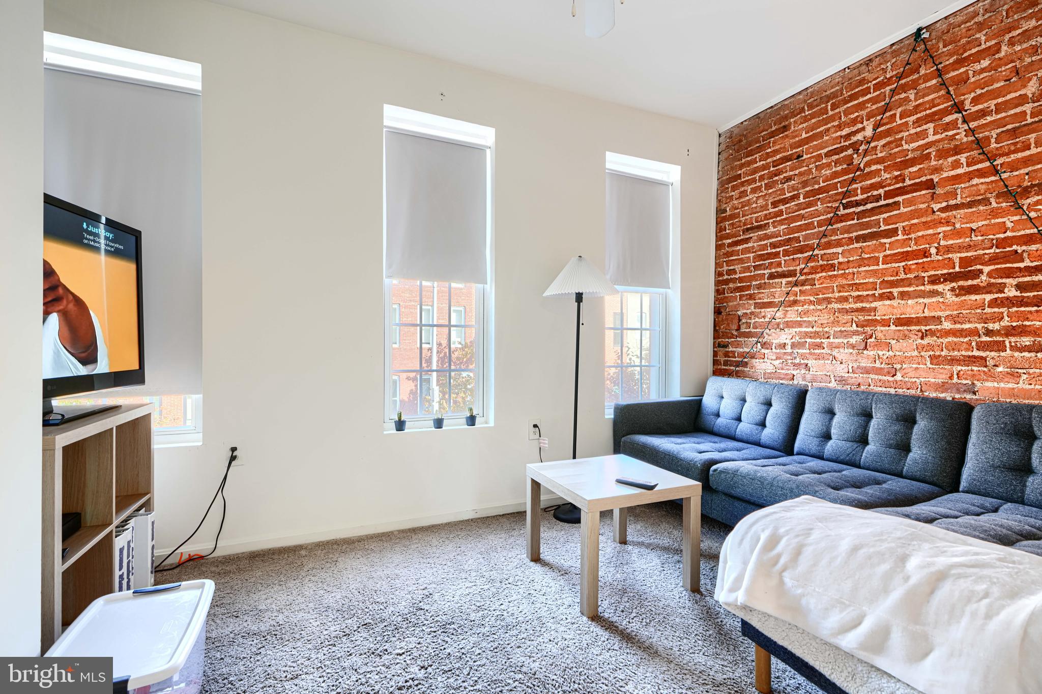 1312 South Hanover Street Baltimore, MD 21230 - Photo 27 of 53 a living room with furniture and a fireplace