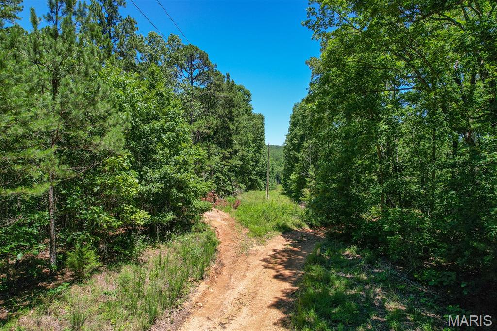 0 Lodge Road Bourbon, MO 65441 - Photo 13 of 18