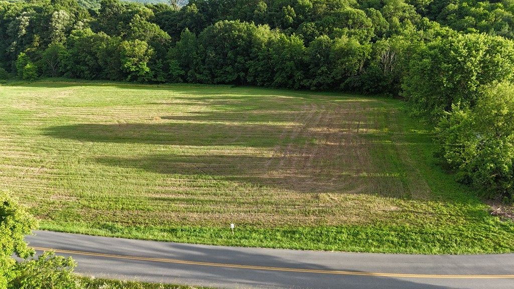 Tbd Cedar Springs Road, Unit 1 Rural Retreat, VA 24368 - Photo 7 of 9 Gallery Image 7