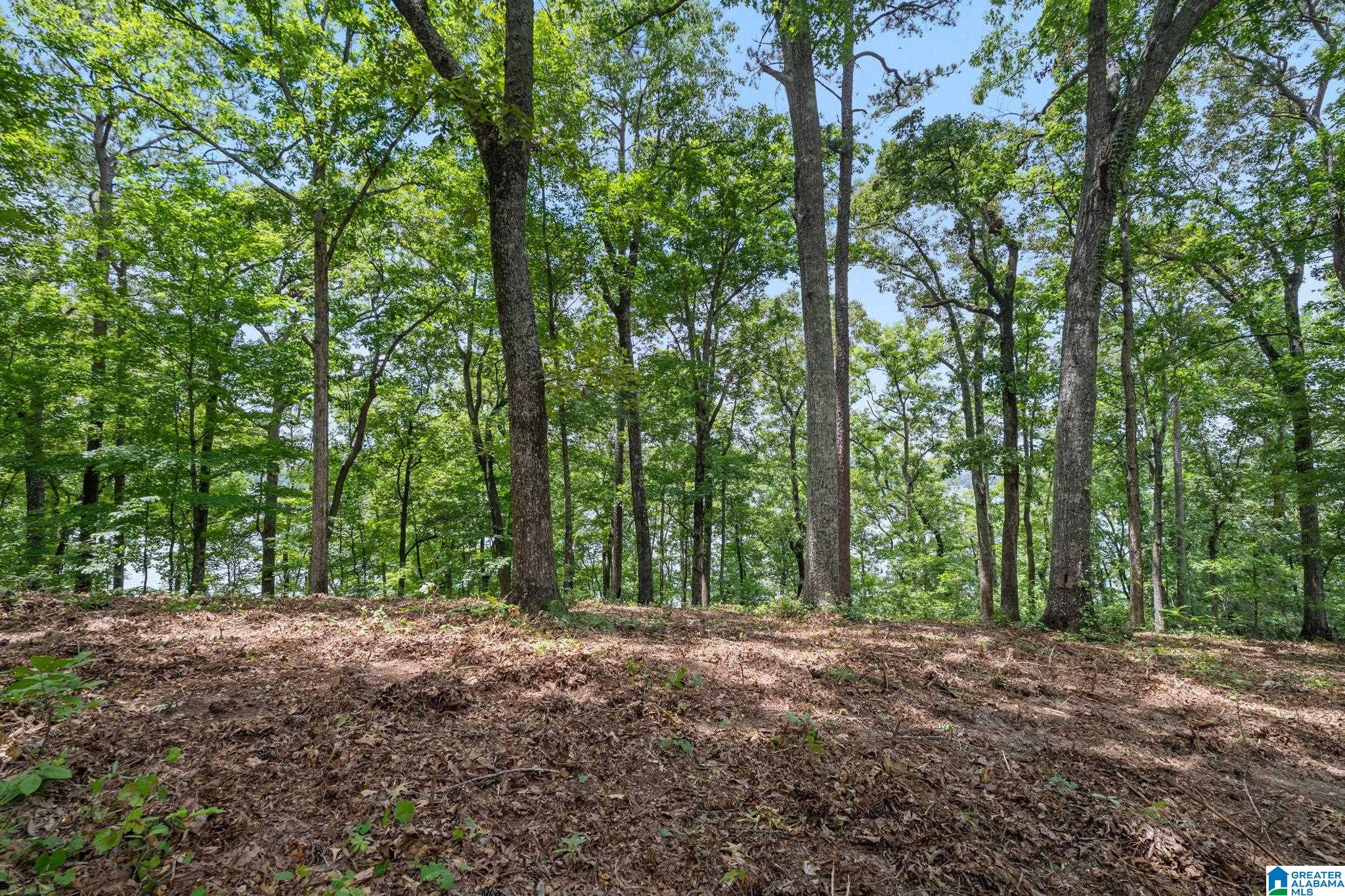 1205 Lk Rdg Lane, Unit 10 Talladega, AL 35160 - Photo 17 of 38