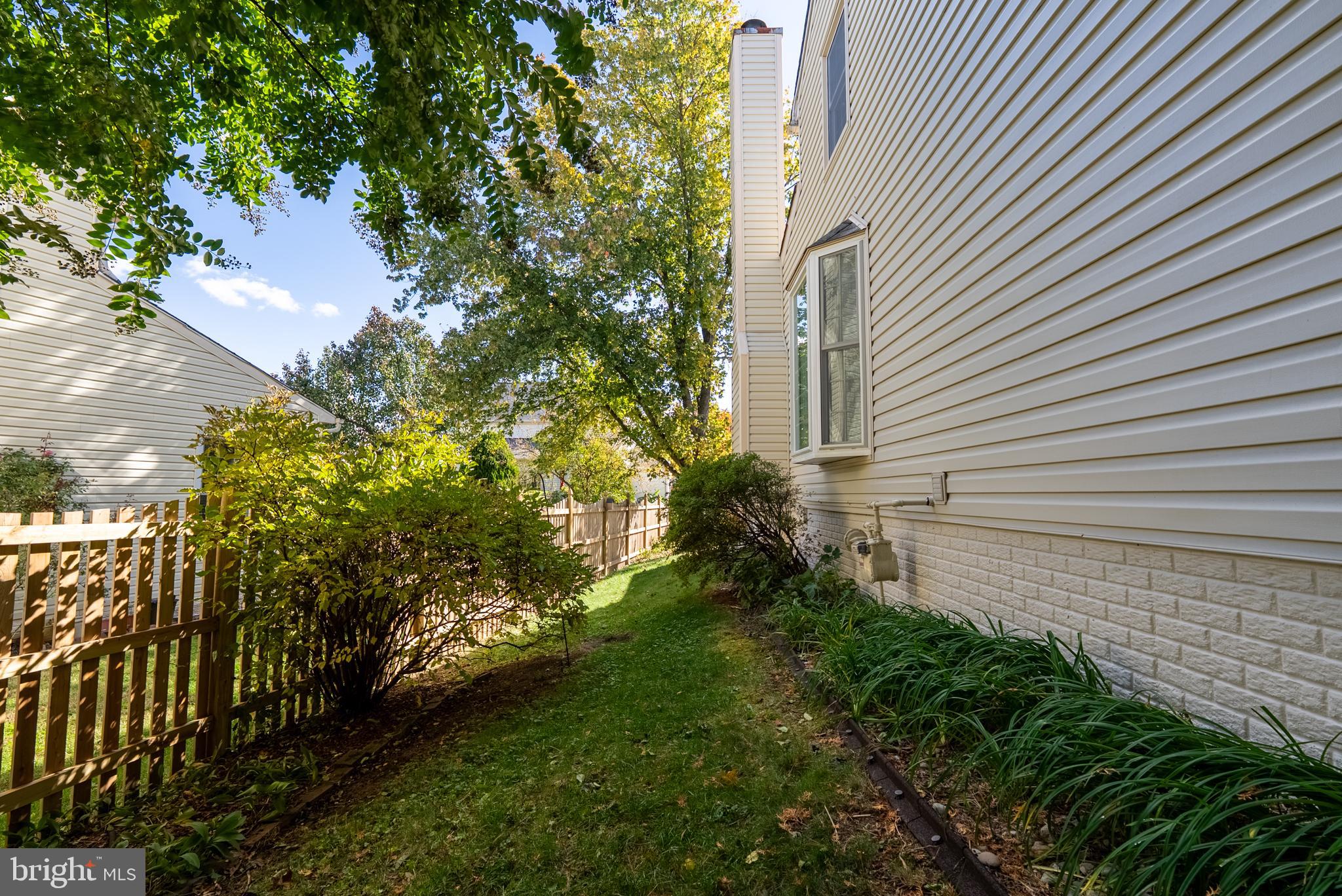 8007 Craddock Road Greenbelt, MD 20770 - Photo 58 of 59 Lush greenery frames a serene side yard.