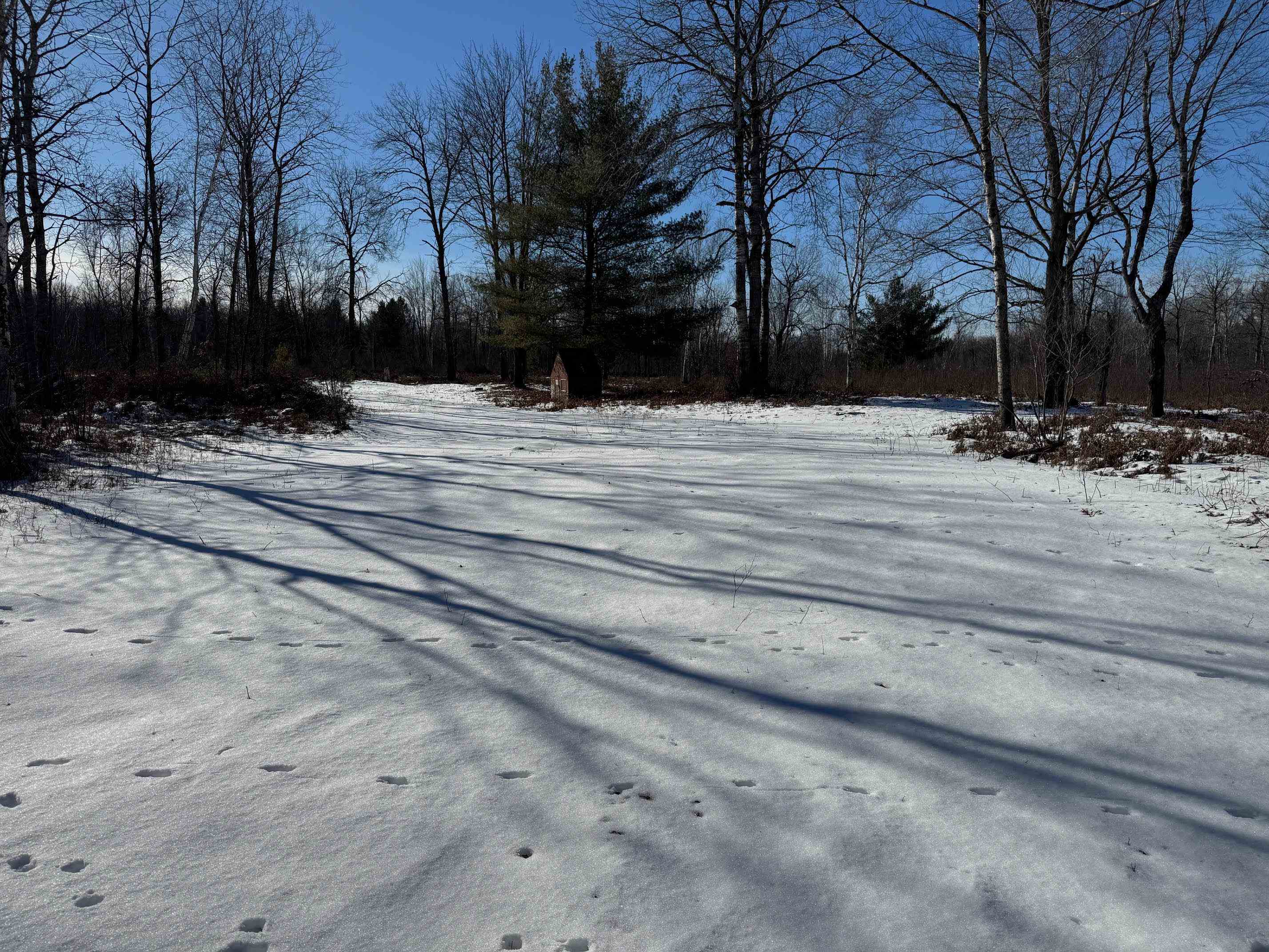 Tbd Hook Road Alger, MI 48610 - Photo 3 of 21