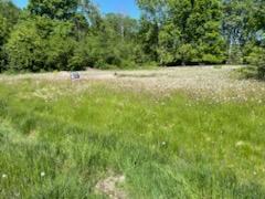 W217N9862 Whitehorse Dr  