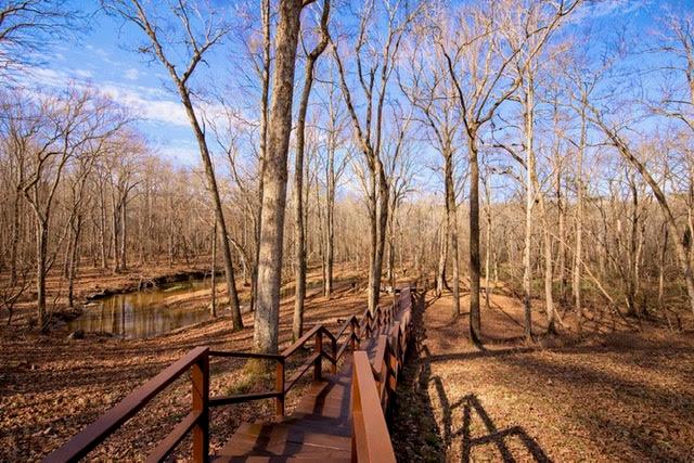 346 Rusty Lady Lane Ellijay, GA 30536 - Photo 49 of 51