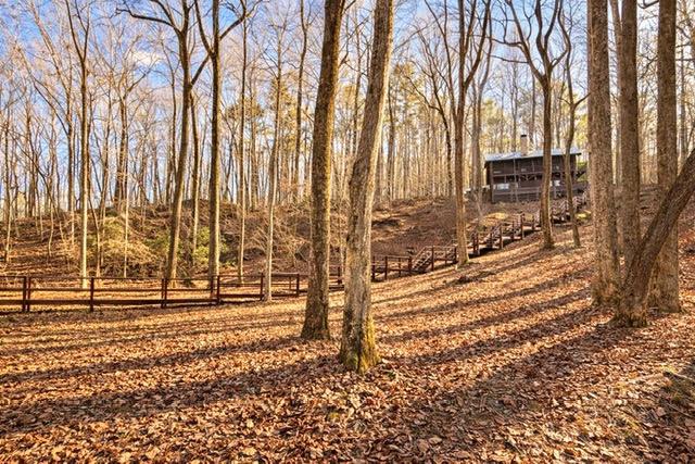 346 Rusty Lady Lane Ellijay, GA 30536 - Photo 5 of 51