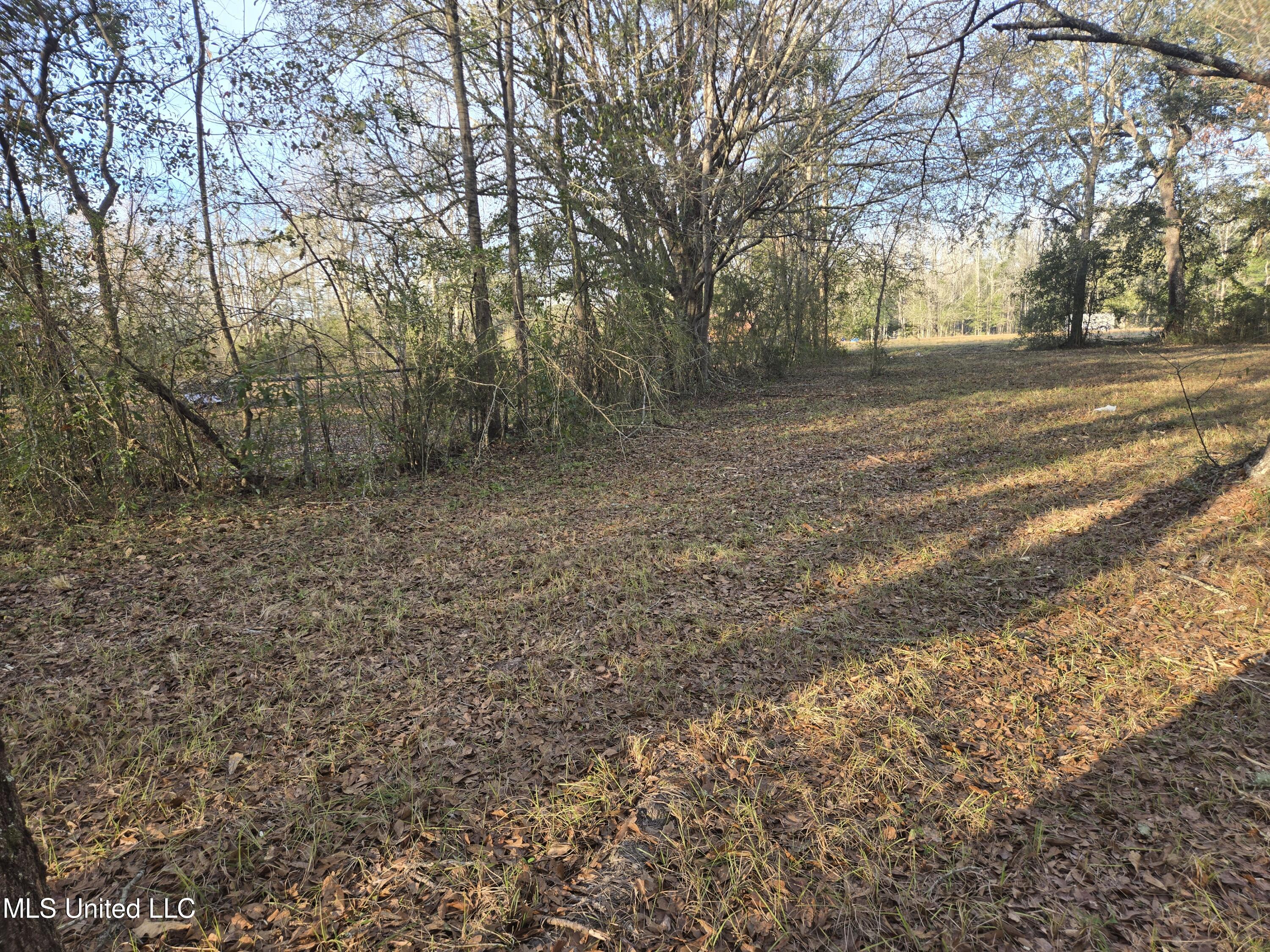 Nhn Landon Road Gulfport, MS 39503 - Photo 11 of 20 Parcel 2 Southeast Corner Westward