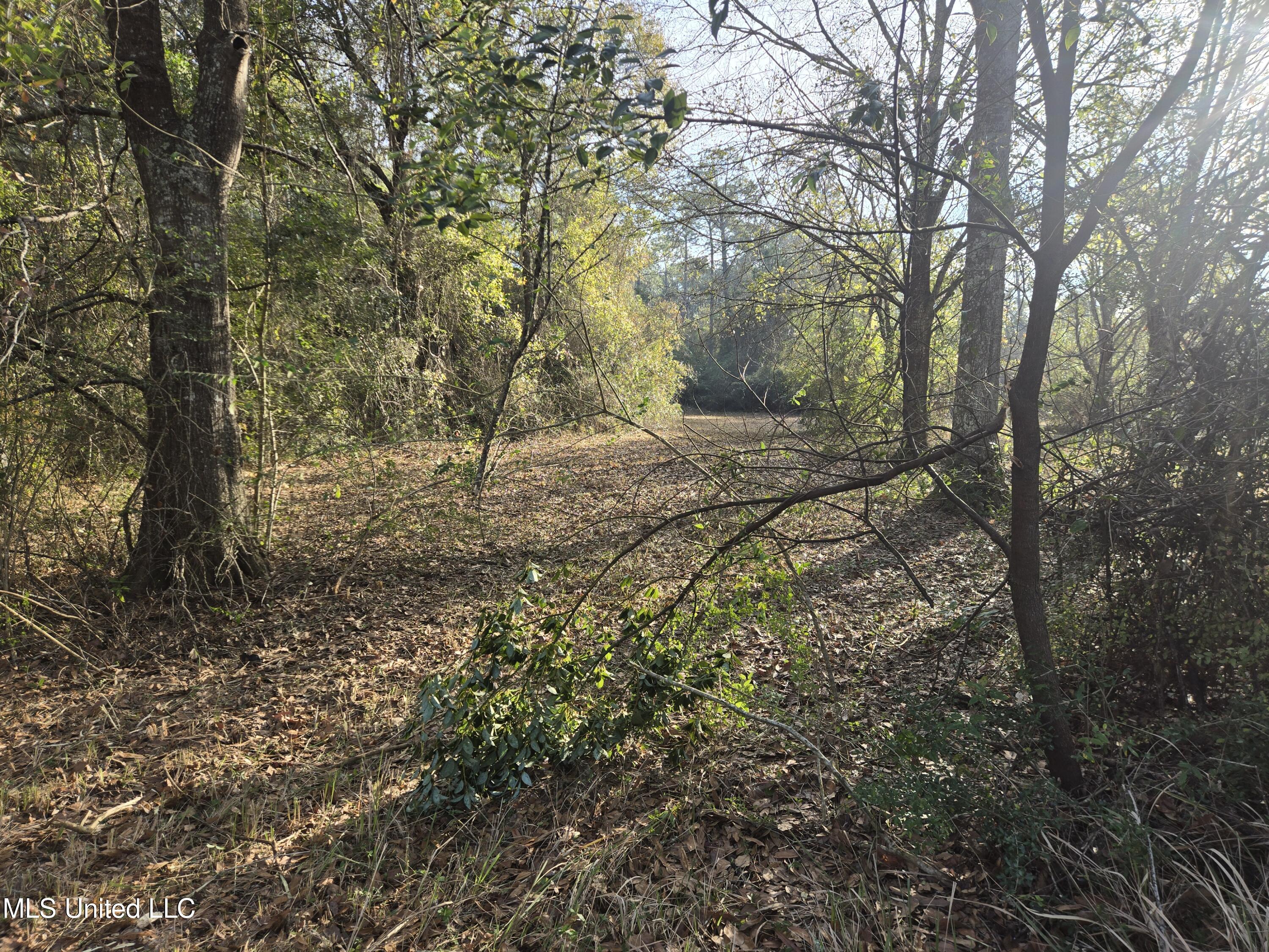 Nhn Landon Road Gulfport, MS 39503 - Photo 15 of 20 Parcel 2 Northwest Corner Eastward