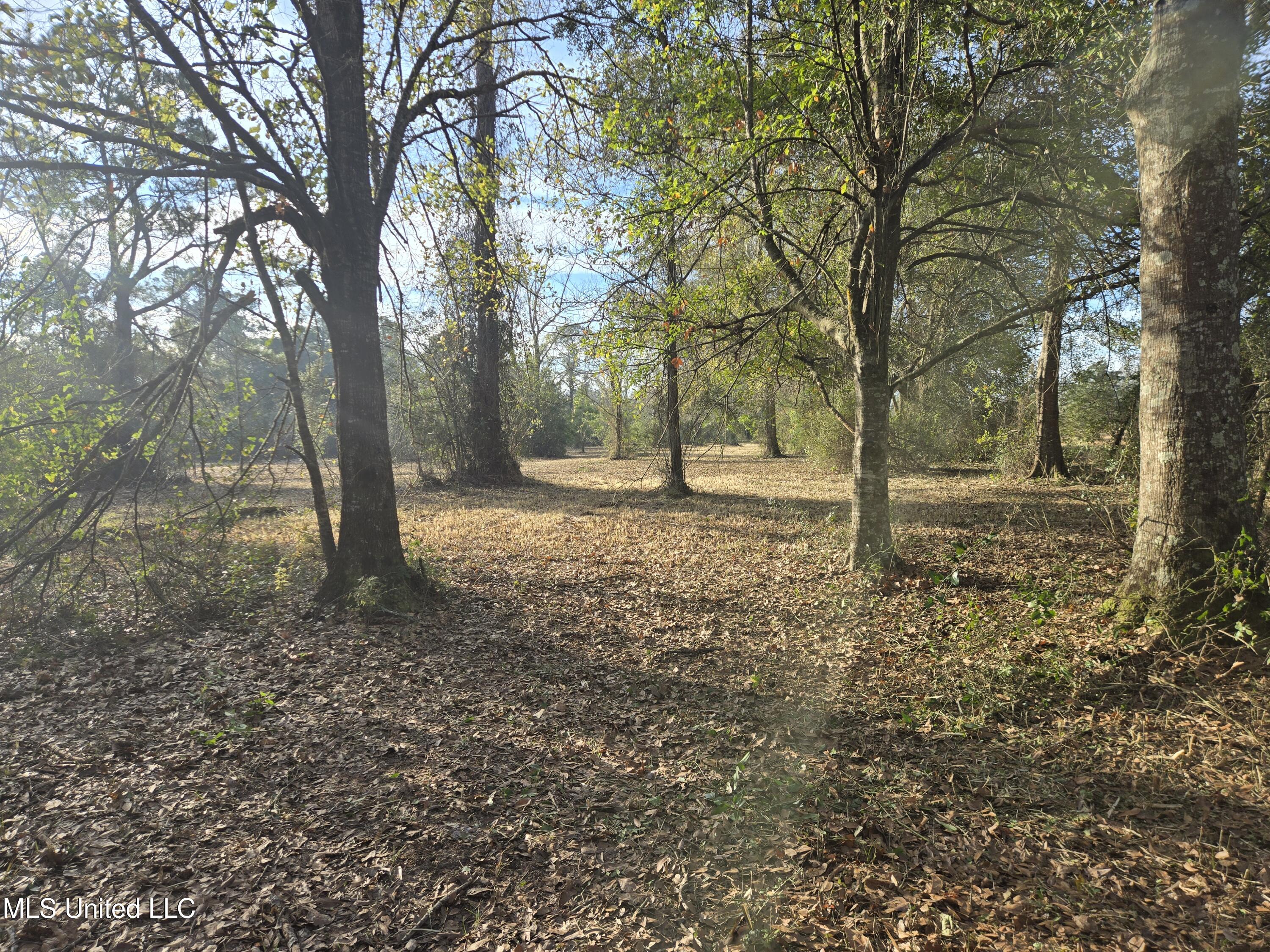 Nhn Landon Road Gulfport, MS 39503 - Photo 16 of 20 Parcel 2 Northwest Corner Southward