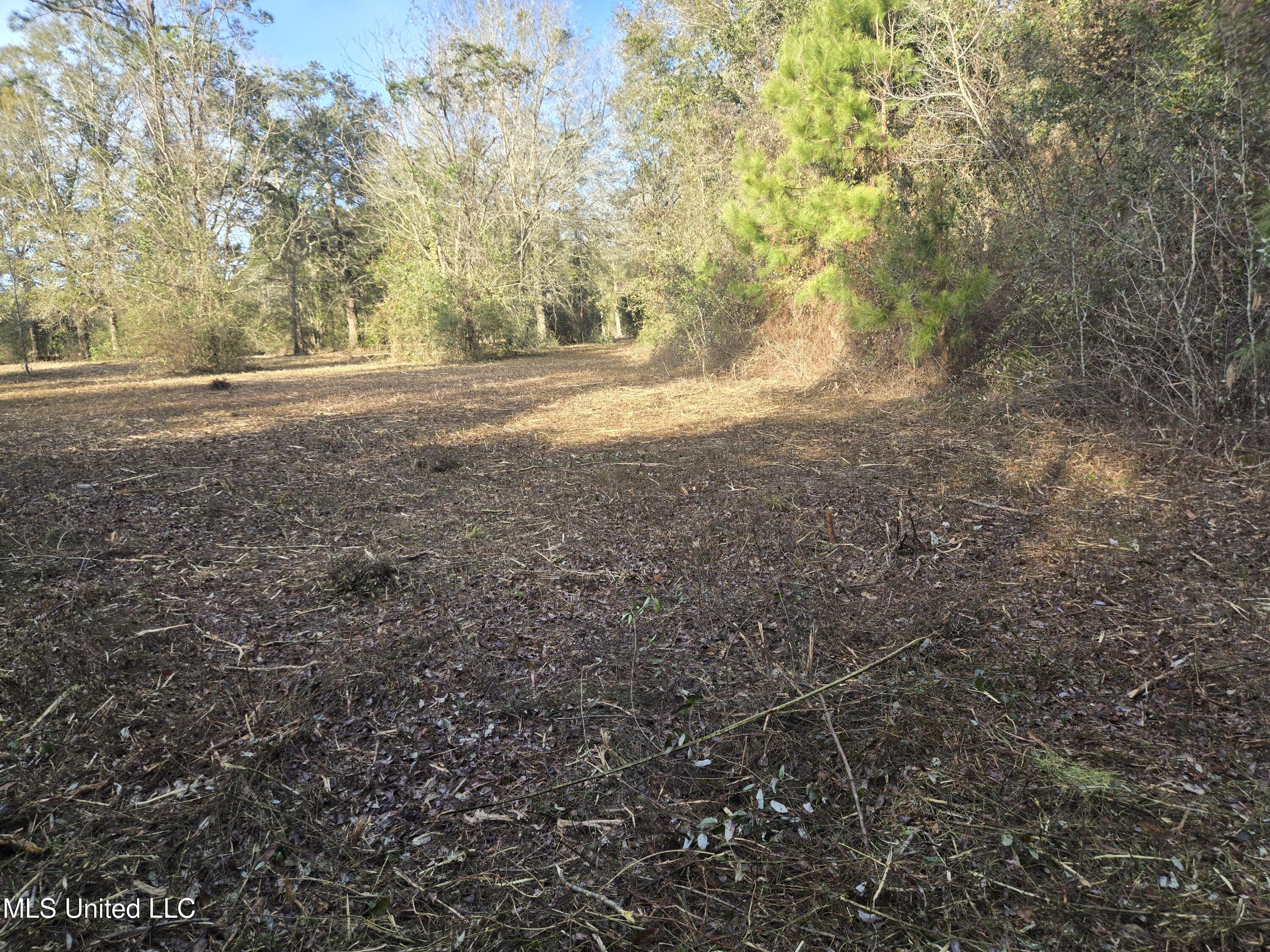 Nhn Landon Road Gulfport, MS 39503 - Photo 17 of 20 Parcel 2 Rear Westward