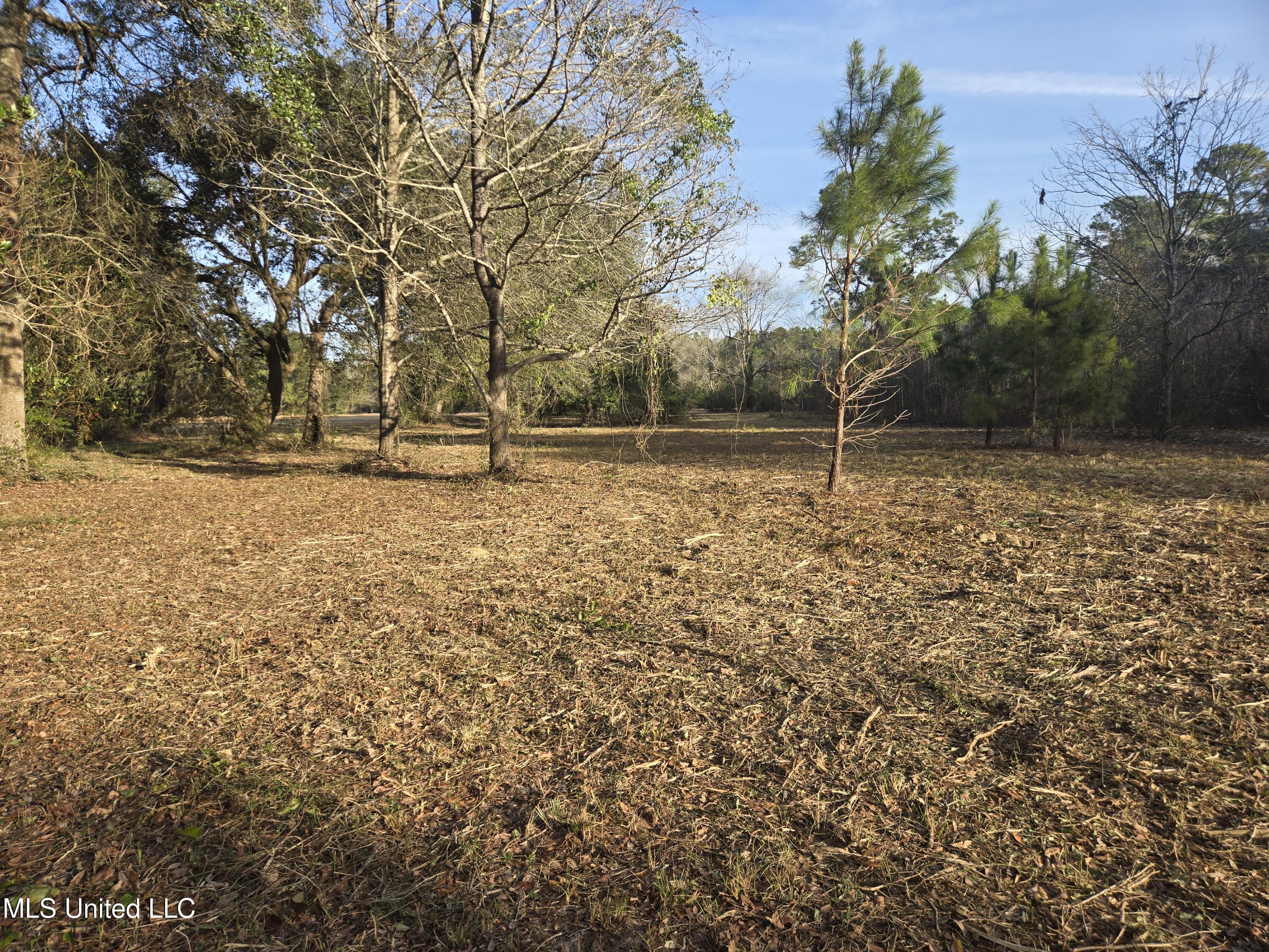 Nhn Landon Road Gulfport, MS 39503 - Photo 4 of 20 Parcel 1 Middle Part Northward
