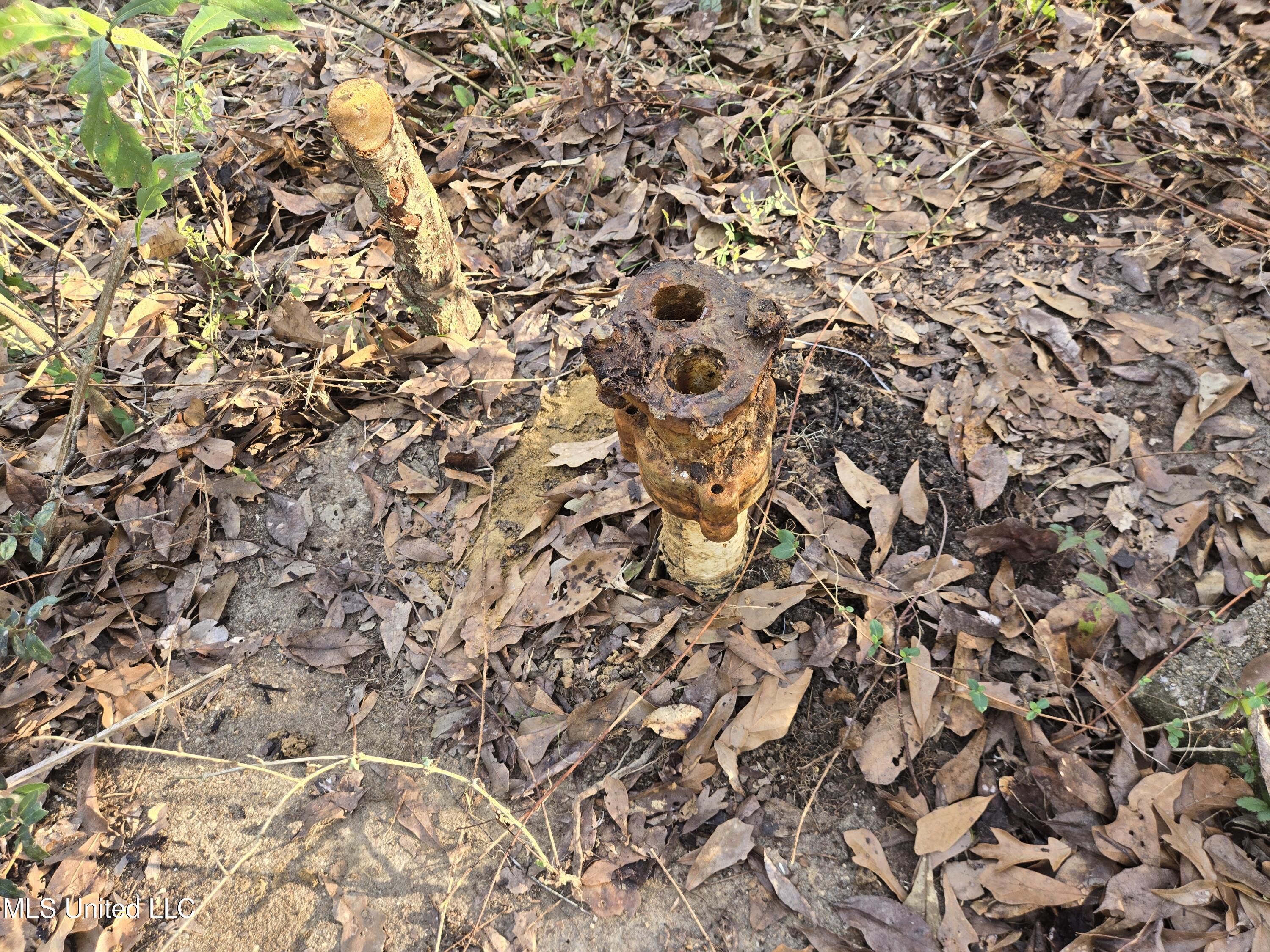 Nhn Landon Road Gulfport, MS 39503 - Photo 9 of 20 Parcel 1 400+ Feet Well Pipe