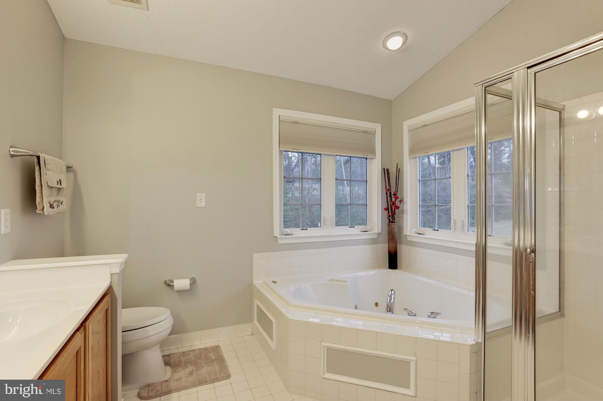 7745 Rotherham Drive Hanover, MD 21076 - Photo 21 of 30 Bath (Master)