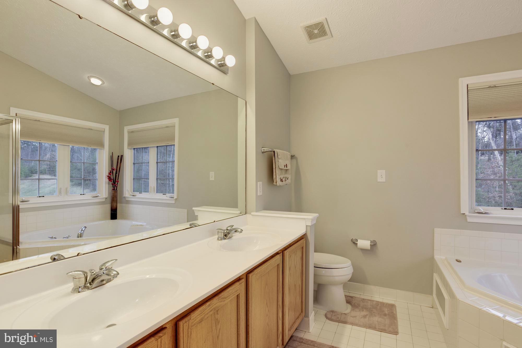 7745 Rotherham Drive Hanover, MD 21076 - Photo 22 of 30 Bath (Master)