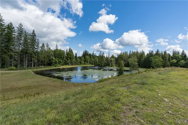 $265,100 | 2929 Deer Run Lane, West Turin, NY 13325