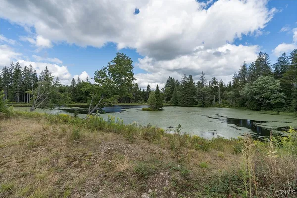 $265,100 | 2929 Deer Run Lane, West Turin, NY 13325