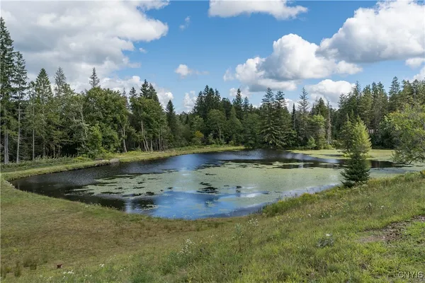 $265,100 | 2929 Deer Run Lane, West Turin, NY 13325