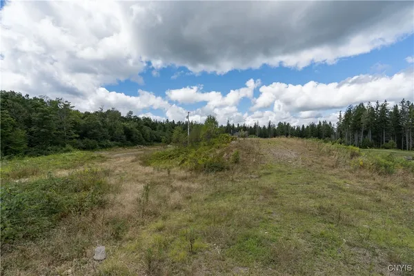 $265,100 | 2929 Deer Run Lane, West Turin, NY 13325