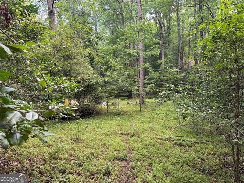 0 Ben Higgins Road Dahlonega, GA 30533 - Photo 10 of 21
