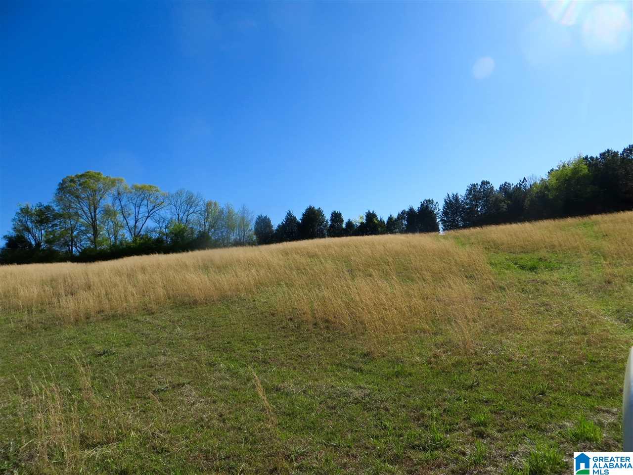0 Eureka Road, Unit 7 Lincoln, AL 35096 - Photo 26 of 34