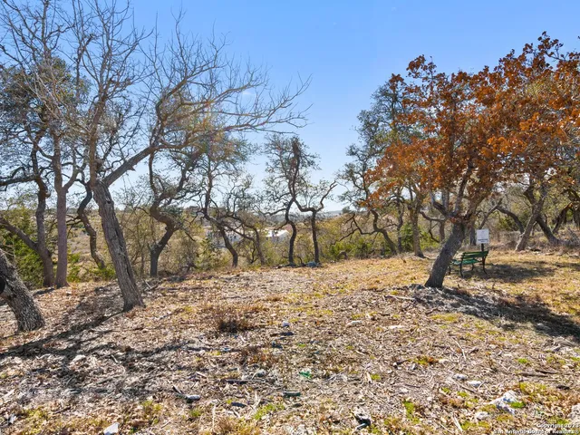 a view of a yard with trees